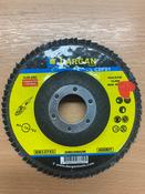 Flap Disc 115x 22 40g [002CDF01]