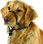 Maxi coach / Training and Education Harness For Dogs [010pet004] image