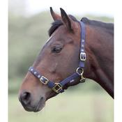 Adjustable Nylon Headcollar [202325]