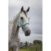 NORTON - Double Thickness - Nylon Headcollar -  Cob Size [37510040] image