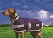 Weatherbeeta Landa Dog Coat