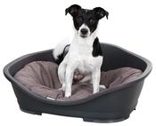 Pet Basket Plastic [10pet00007]