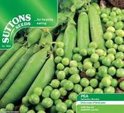 Pea Kelvedon Wonder Seed Mix [131G190447]