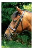 Puissance Comfort Bridle &amp; Reins Flash[166B2BBF] image