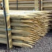 Round Green Post Stakes [240rgp18] image