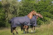 Equitheme Tyrex 1200D 8OOO Rug [037400859]