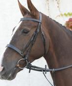 Mackey Classic Hunt Bridle &amp; Reins
