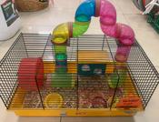 Hamster Cage with Bedding &amp; Accessories [37hamstercage]