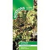 Suttons Lettuce Red Salad Bowl [131g168407]