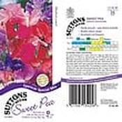 Sweet Pea Spencer Special Seed Mix [131G134250]