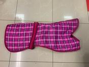 Greyhound Waterproof Lined Coat Pink Check [112greyct]