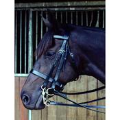 Double Bridle &amp; Reins Full Grain[166B5] image