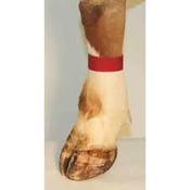 Red velcro ankle straps