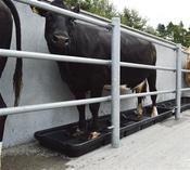 Narrow Interlocking Footbath 2525L x 690W x 150Hmm [060fb7]