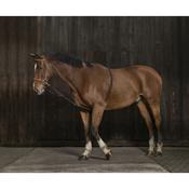 Norton Gentle Stretching Training Aid [037306424002]