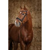 Norton Pro Bridle Gravure [037301873302]