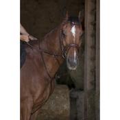 Norton Pro Running Martingale [037306118]
