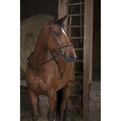 Norton Pro web reins with handles [037305621]