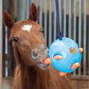 Carrot Ball [2028100]