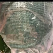 Scaffold Wind Breaker Green 1.5mx50m [144G208]
