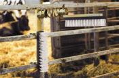 Complete Cattle Scratcher [003123315]