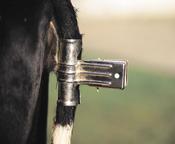 Galvanised Tail Bridle [003104442]
