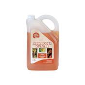 Apple Cider Vinegar [096APPL01]