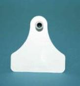 Blank Cattle Tags "Male Side"  [010ATG00005]