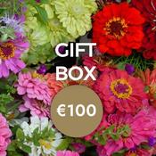 Florist Choice 100