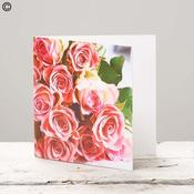 Pink Rose Blank Greetings Card image