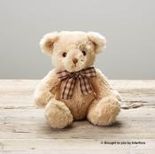 James Junior Bear image