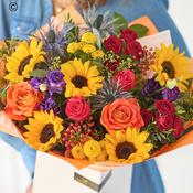 The Sunflower Carnival