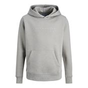 Boys Logo Hoodie - Ultimate Grey - 8 image
