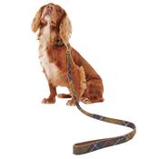 Tartan Webbing Dog Lead - Classic Tartan - One