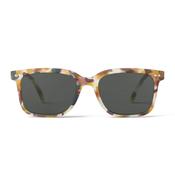 #L Sunglasses - Blue Tortoise - 0 image