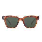 #ROAD Sunglasses - Havane - 0 image
