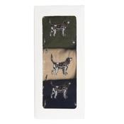 Mens Pointer Dog Socks Gift Box - Forest Mist - One image
