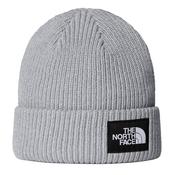 Salty Lined Beanie - TNF Light Grey Heather - One image