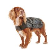 Waxed Dog Coat - Olive - XS