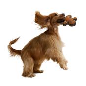 Christmas Gingerbread Dog Toy - Brown - One