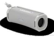 Sony Portable BT Speaker - IP67 water and dust proof - Grey | SRSULT10WCE7 image