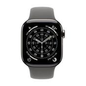 Apple Watch Series 11 GPS + Cellular 42mm Natural Titanium Case with Stone Grey Sport Band - S/M | MF8M4MP/A image