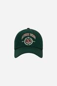 Jeremy Baseball Cap in Green image