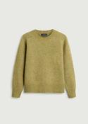 Envie Pullover in Green image