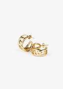 Sculptural Chunky Hoop Earrings in Gold image