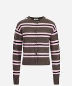 Noemi Cardigan in Pink Striped image
