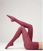 Burgundy 60 Denier Tights MP Socks image