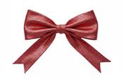 Fabucci Red Metallic Shoe Laces