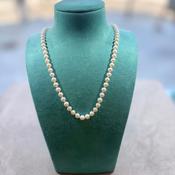 Ming Pearl Necklace 5.5-6mm image