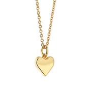 Newbridge Pendant with Heart